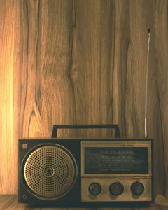 Relay Field Radio